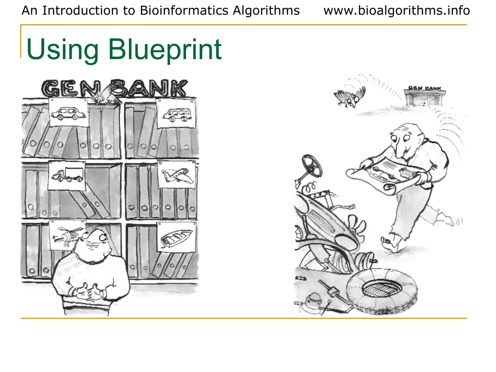 an introduction to bioinformatics algorithms 11