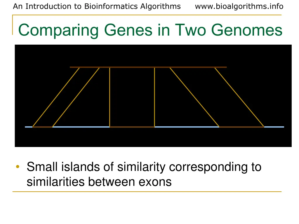 an introduction to bioinformatics algorithms 2