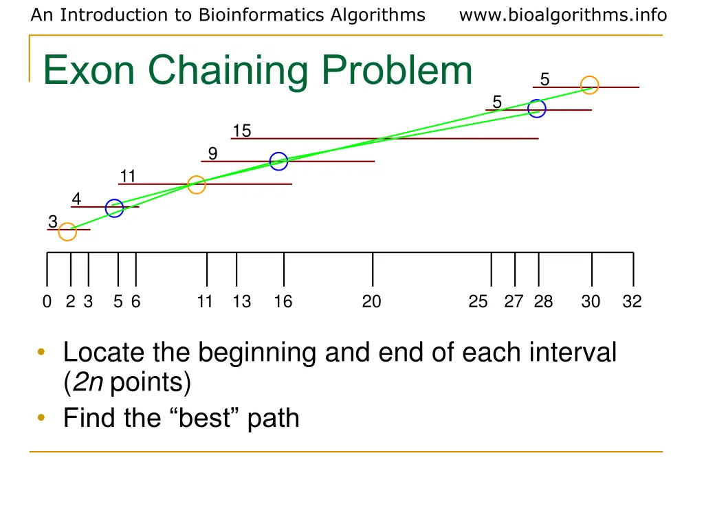 an introduction to bioinformatics algorithms exon