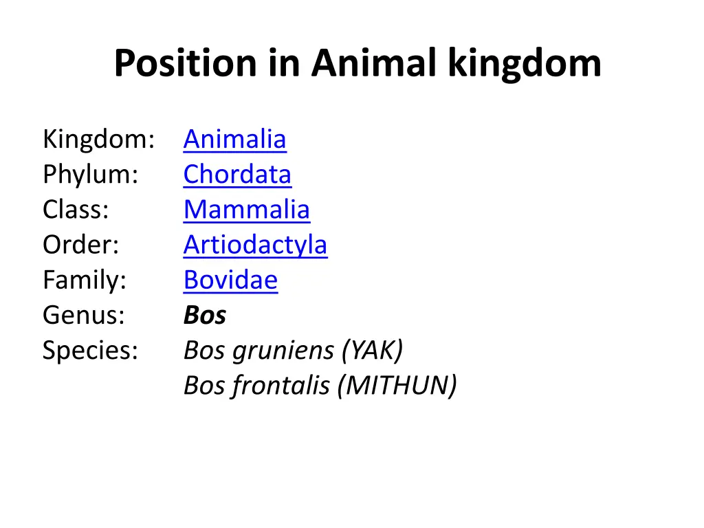 position in animal kingdom