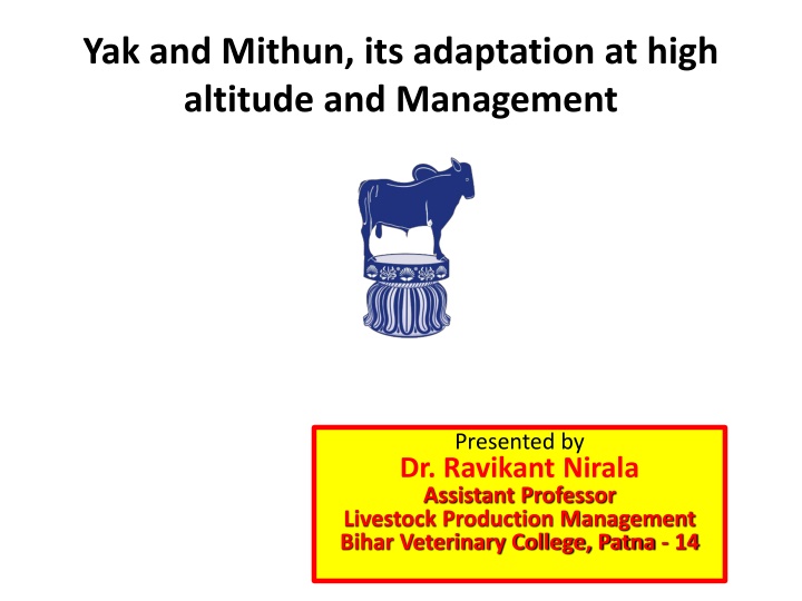 yak and mithun its adaptation at high altitude