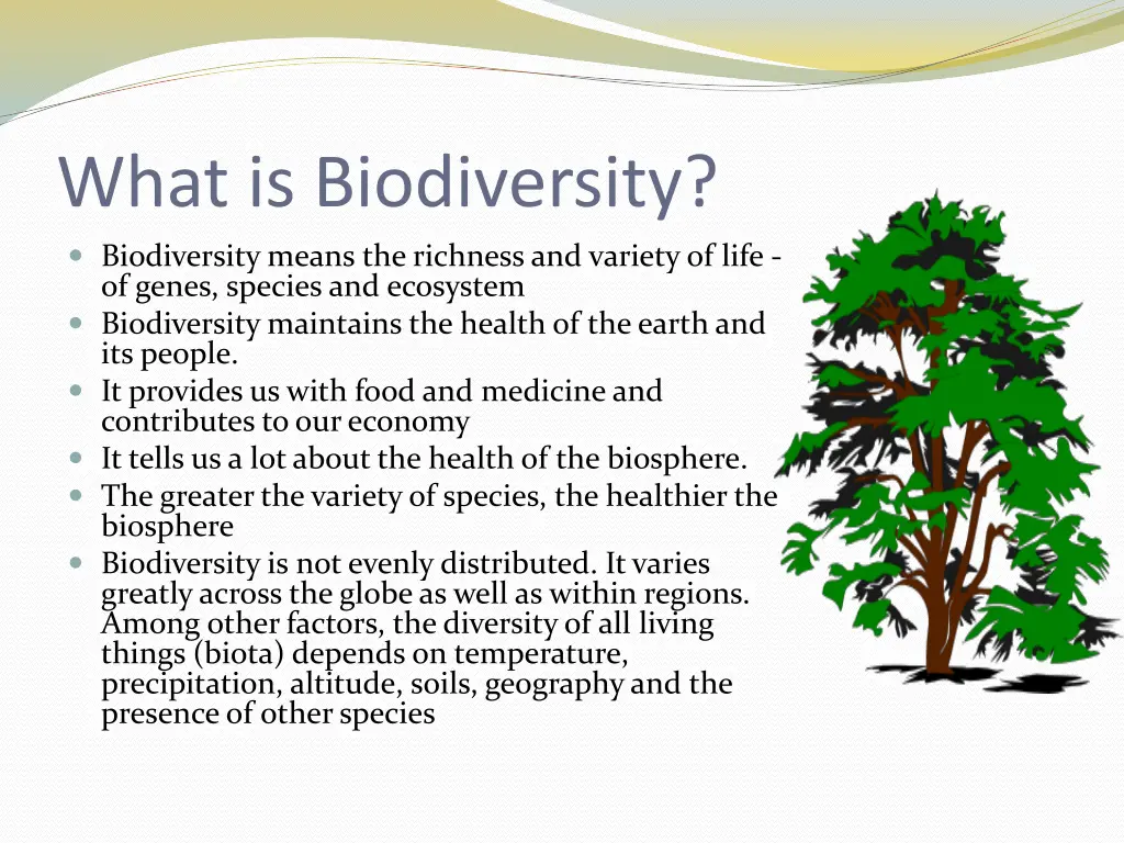 what is biodiversity