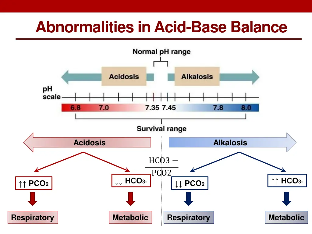 abnormalities in acid base balance 3