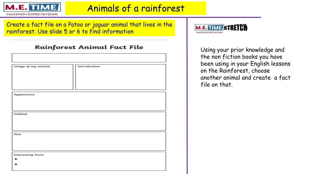 animals of a rainforest 1