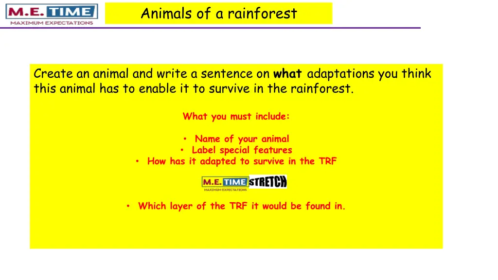 animals of a rainforest 2