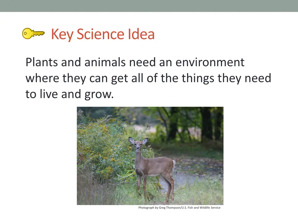 key science idea