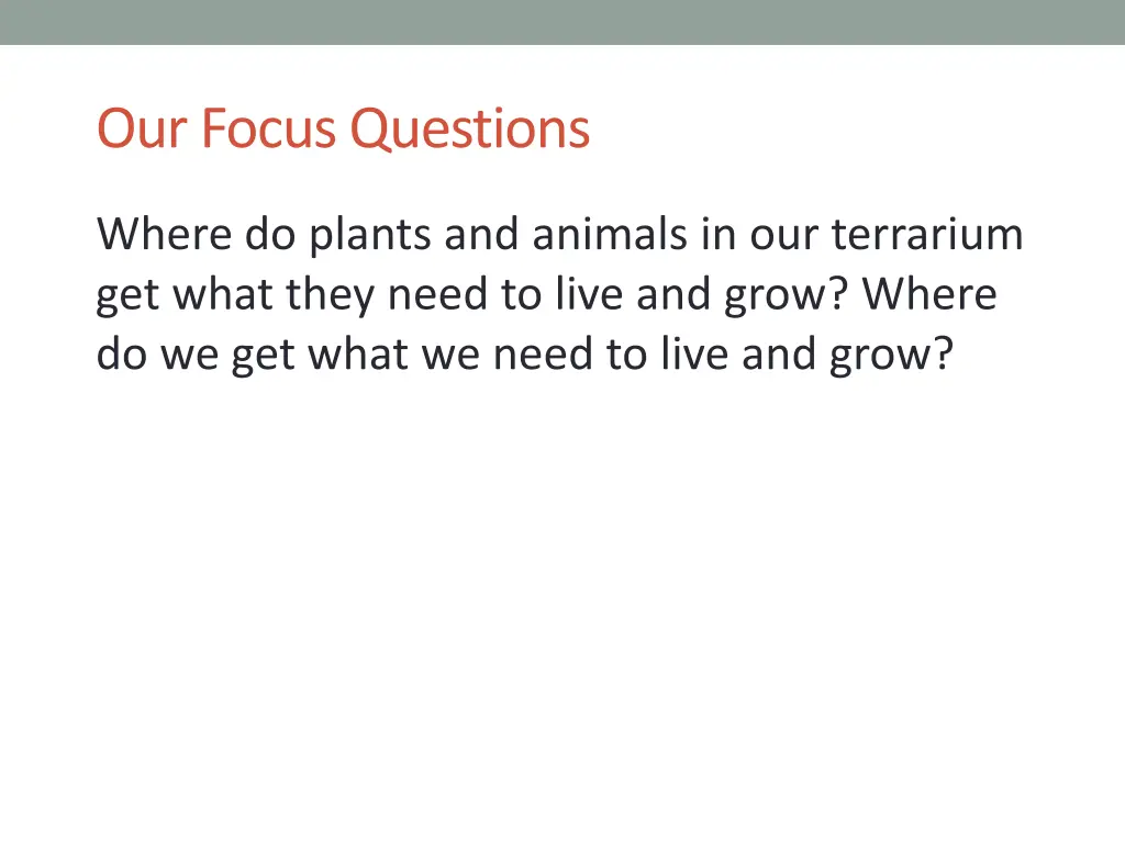 our focus questions