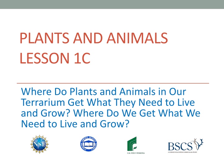 plants and animals lesson 1c