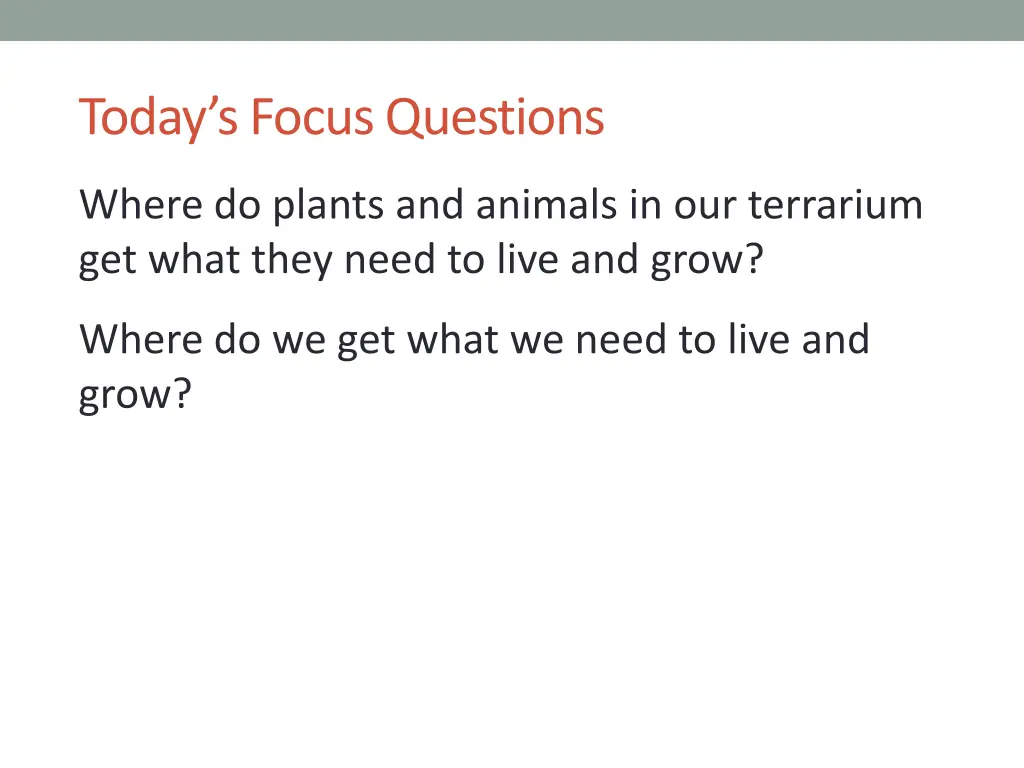 today s focus questions