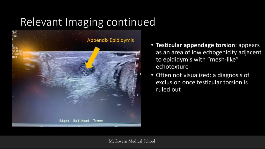 relevant imaging continued