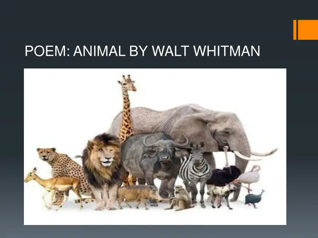 poem animal by walt whitman