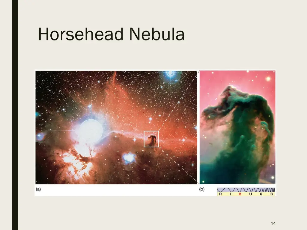 horsehead nebula