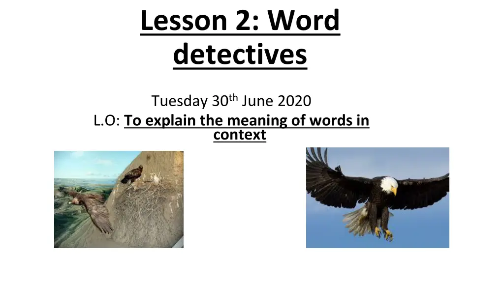 lesson 2 word detectives