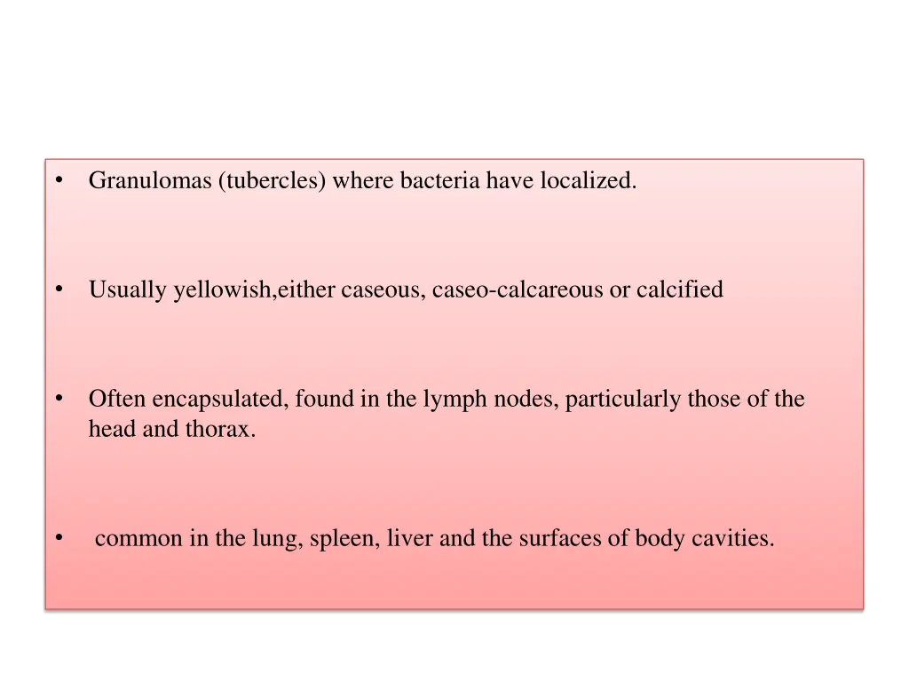 granulomas tubercles where bacteria have localized