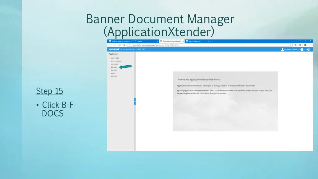 banner document manager applicationxtender