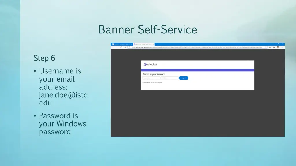 banner self service