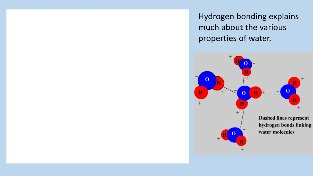 hydrogen bonding explains much about the various