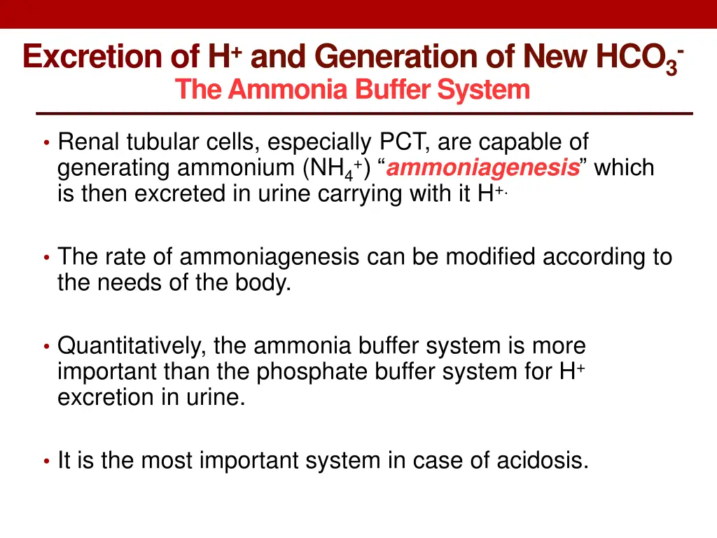 excretion of h and generation