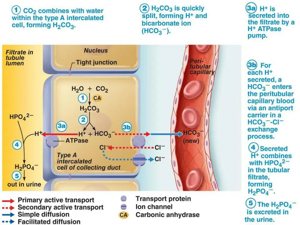 slide43