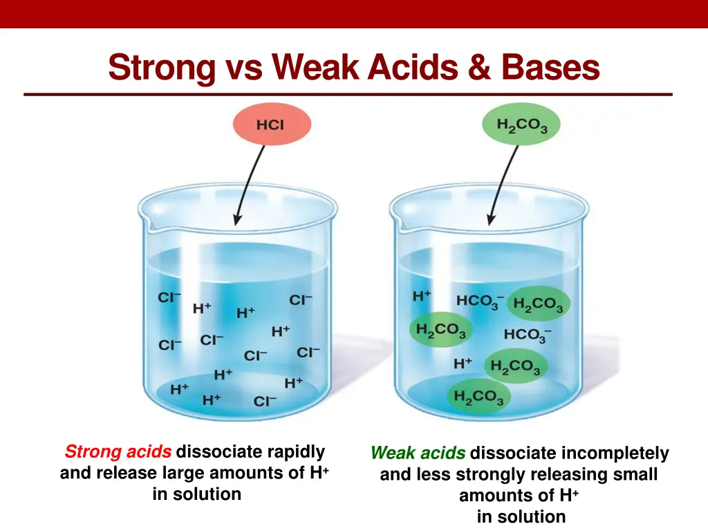 strong vs weak acids bases