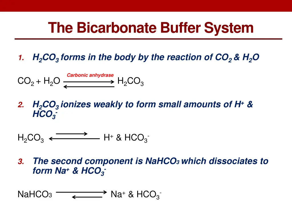 the bicarbonate buffer system 1