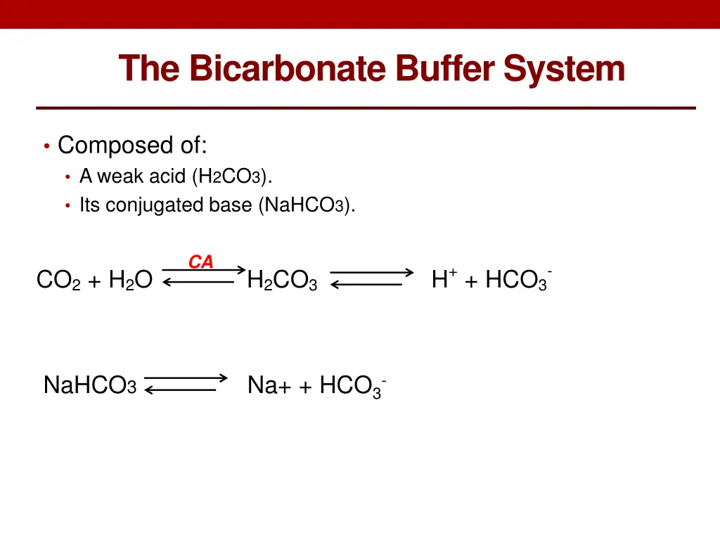 the bicarbonate buffer system