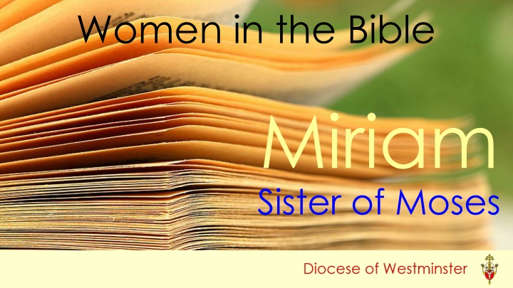 women in the bible