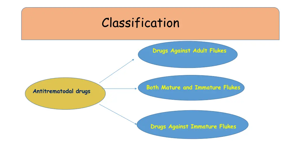 classification