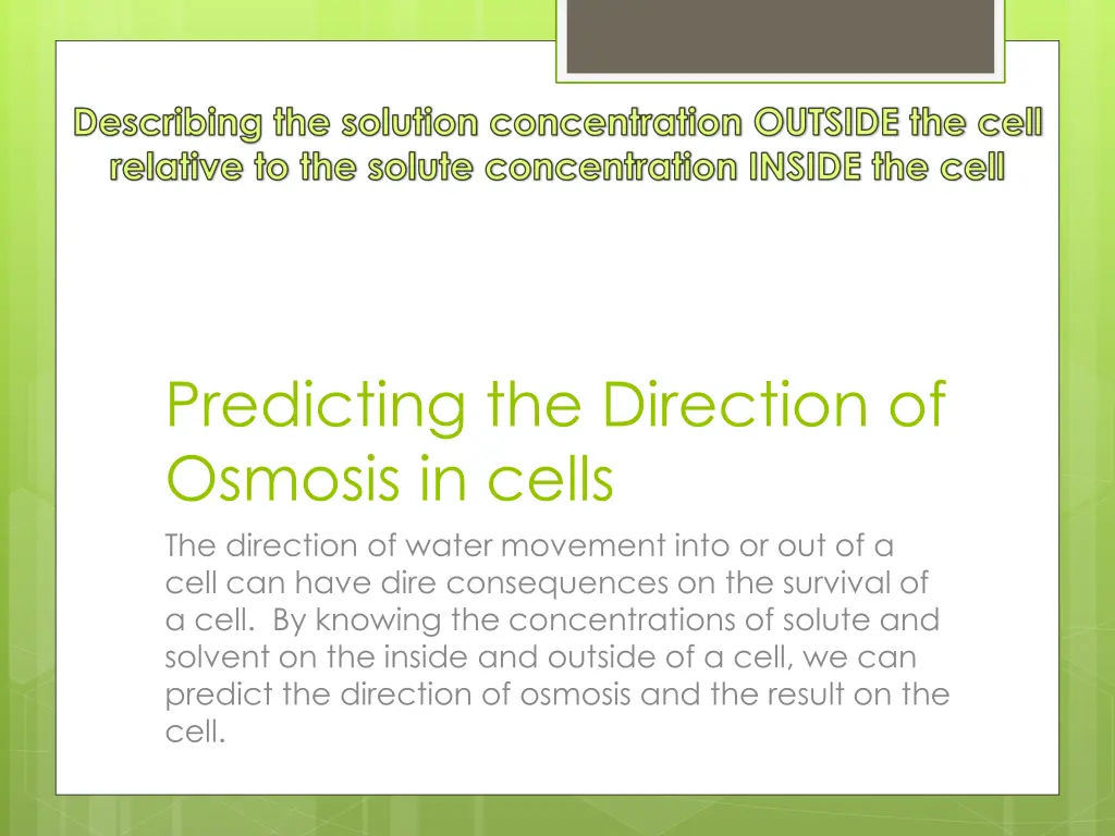 describing the solution concentration outside