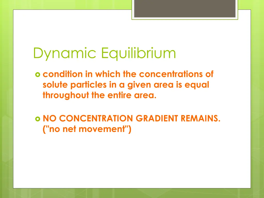 dynamic equilibrium