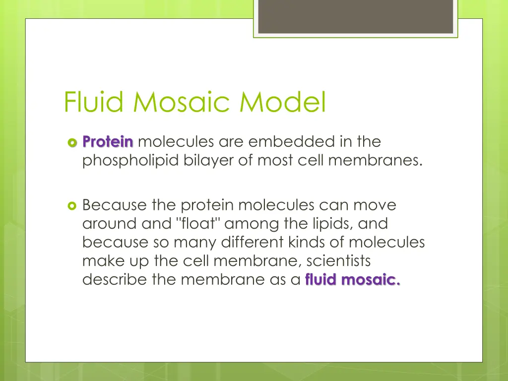 fluid mosaic model 1