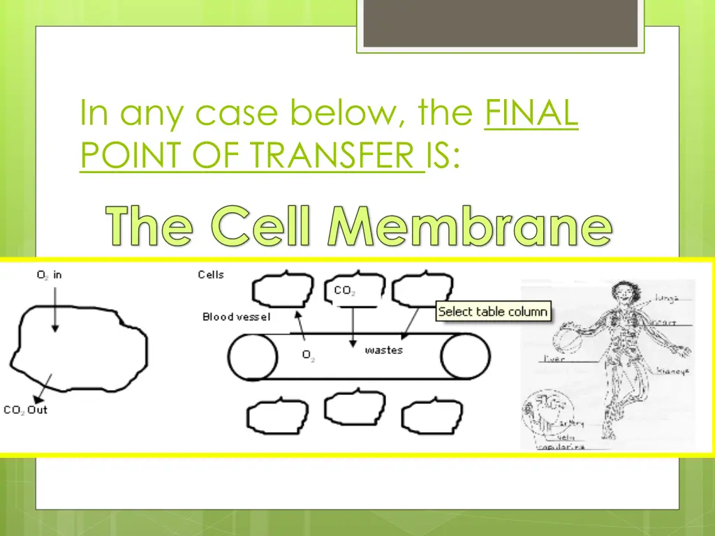 in any case below the final point of transfer