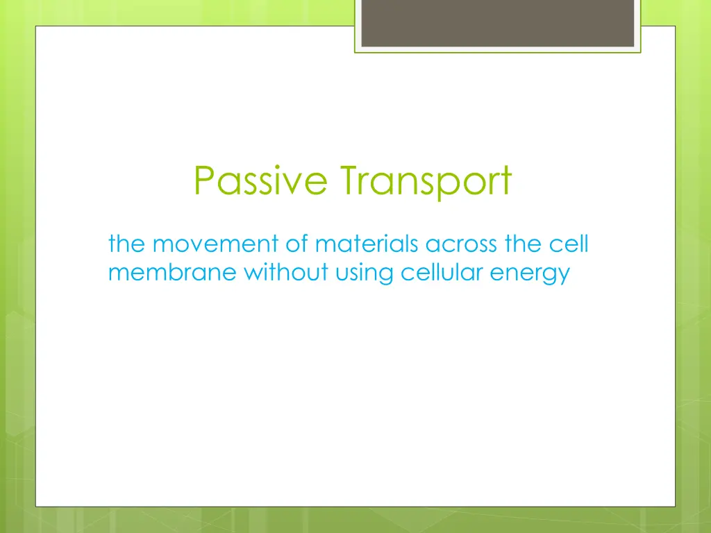 passive transport