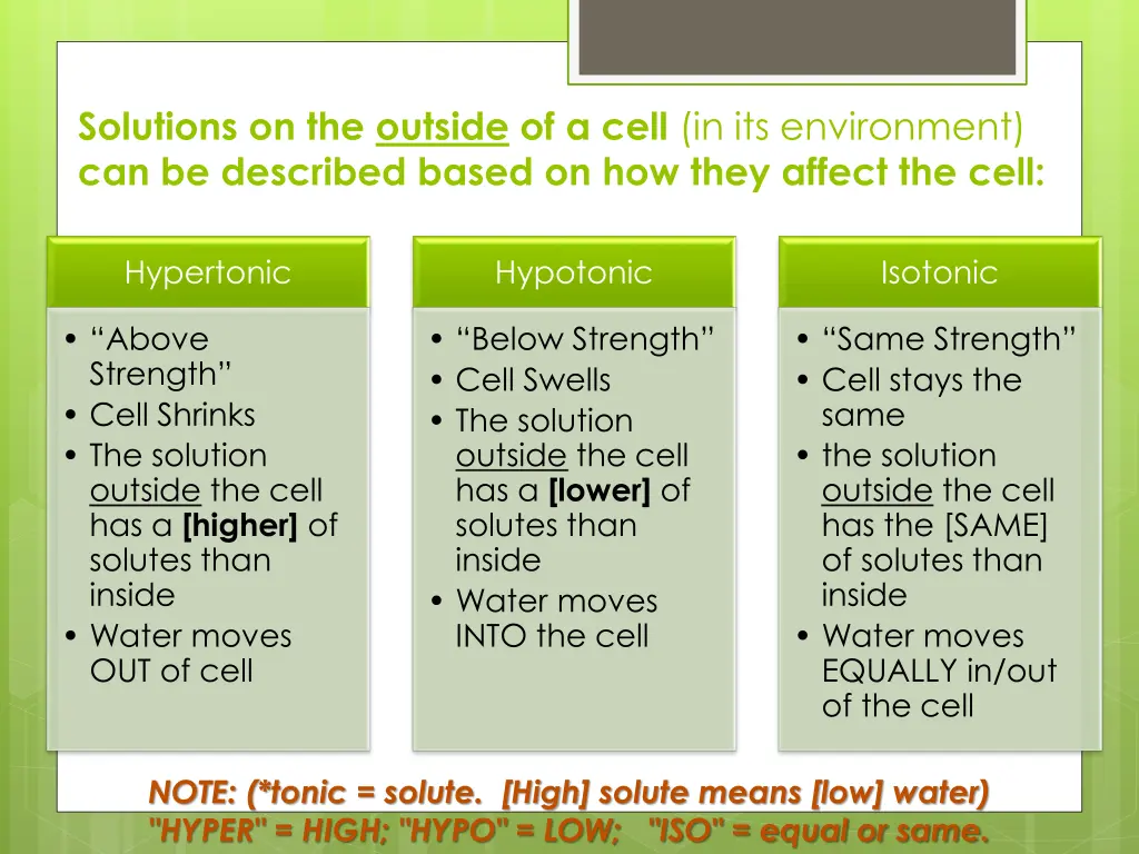 solutions on the outside of a cell