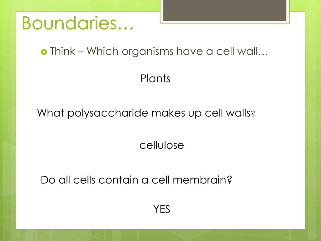 think which organisms have a cell wall