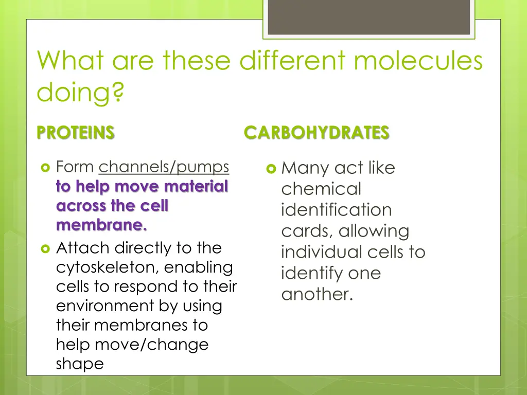 what are these different molecules doing