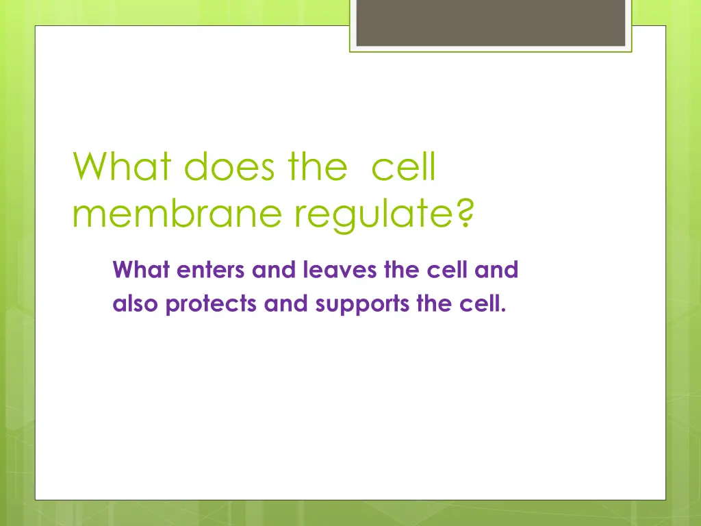 what does the cell membrane regulate