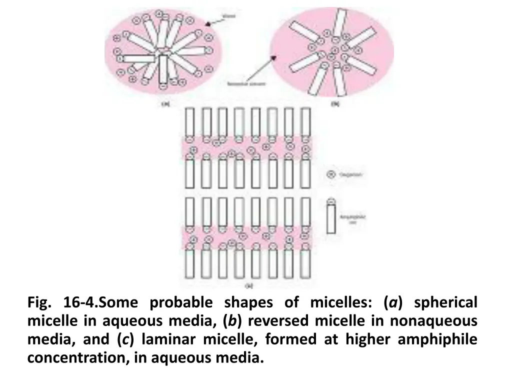 fig 16 4 some probable shapes of micelles