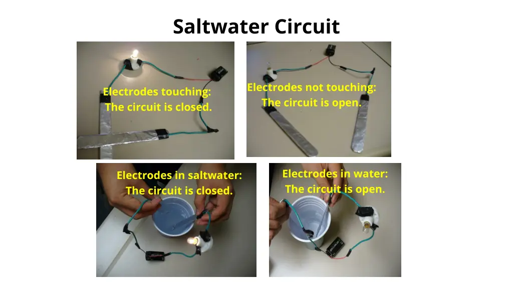 saltwater circuit 2