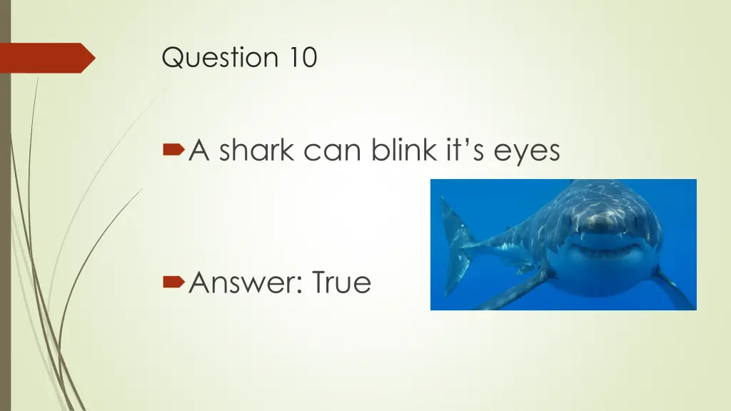 question 10