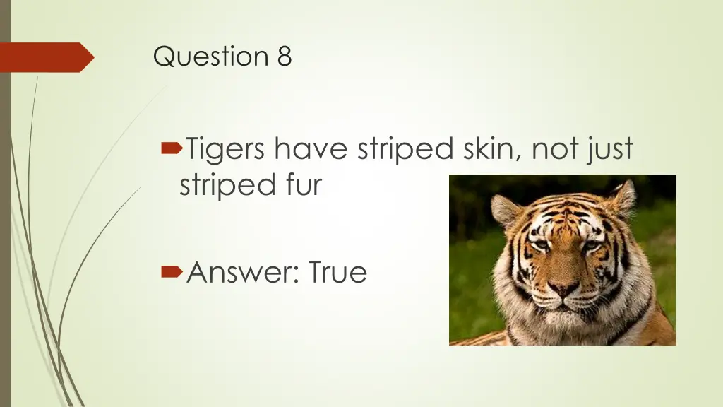 question 8