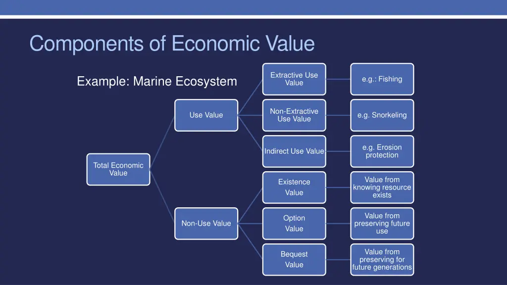 components of economic value