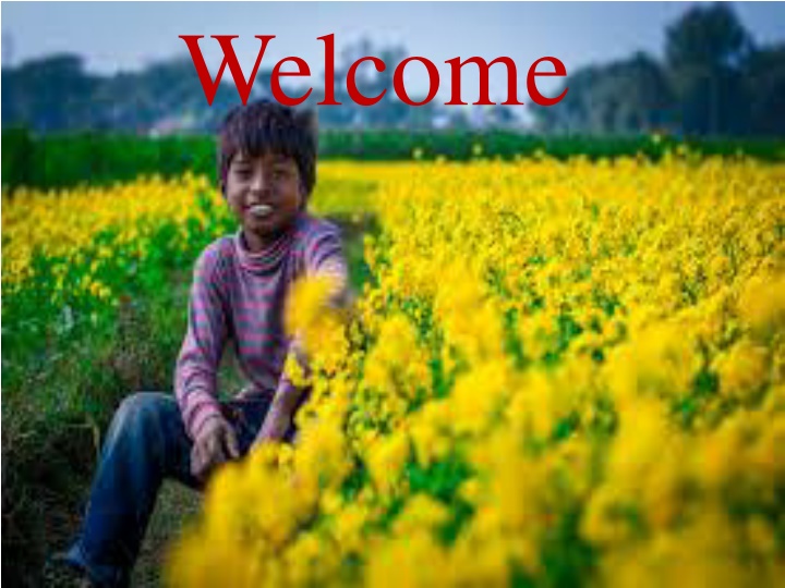 welcome