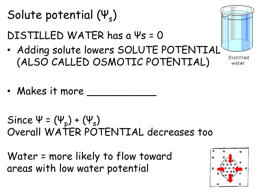 solute potential s