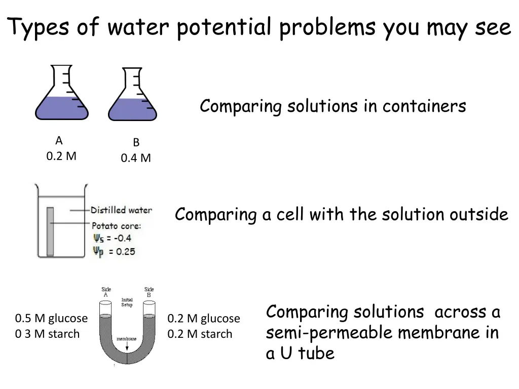 types of water potential problems you may see