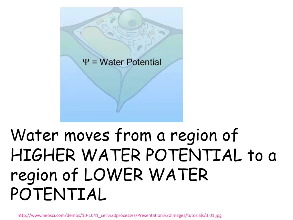 w ater moves from a region of higher water