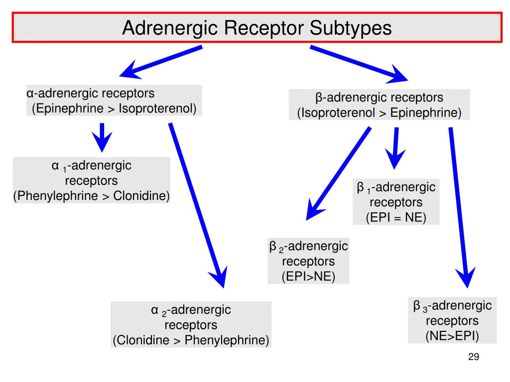 adrenergic receptor subtypes