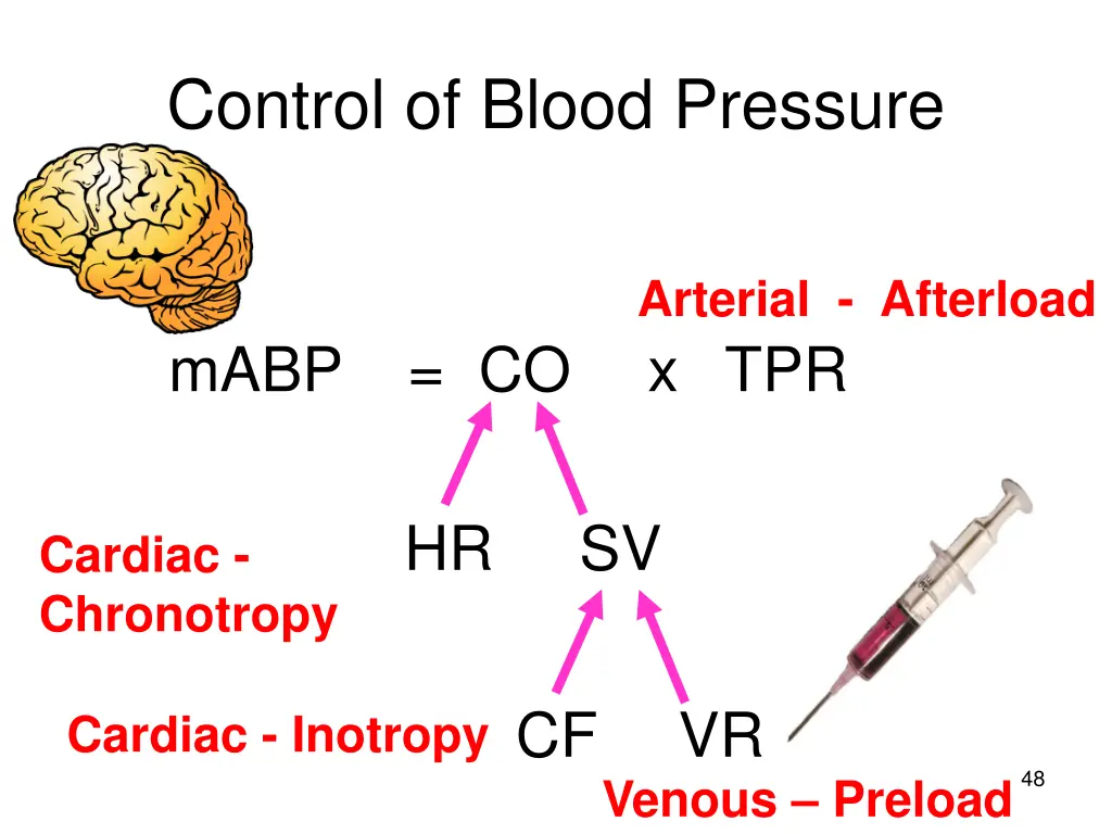 control of blood pressure