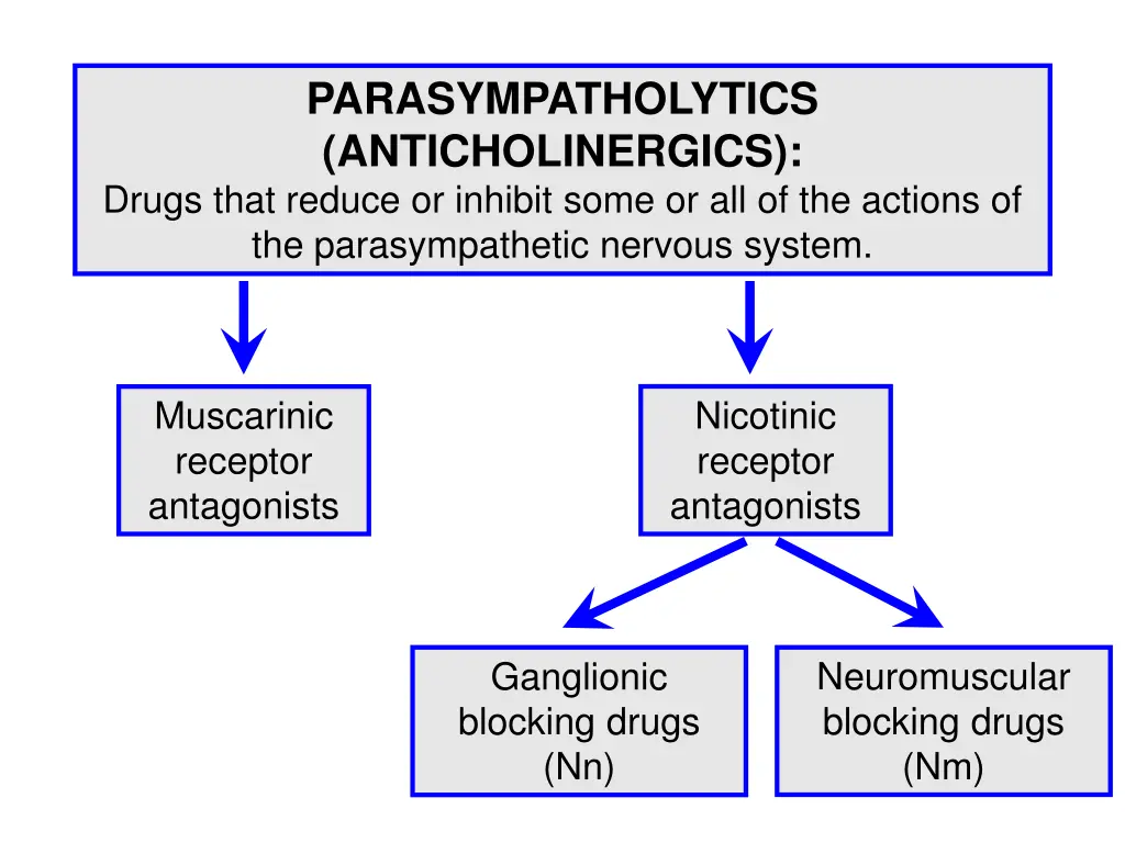 parasympatholytics anticholinergics drugs that