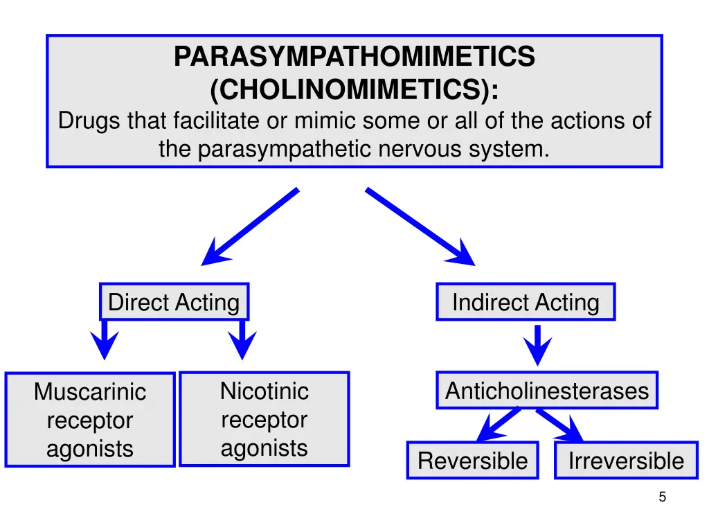 parasympathomimetics cholinomimetics drugs that